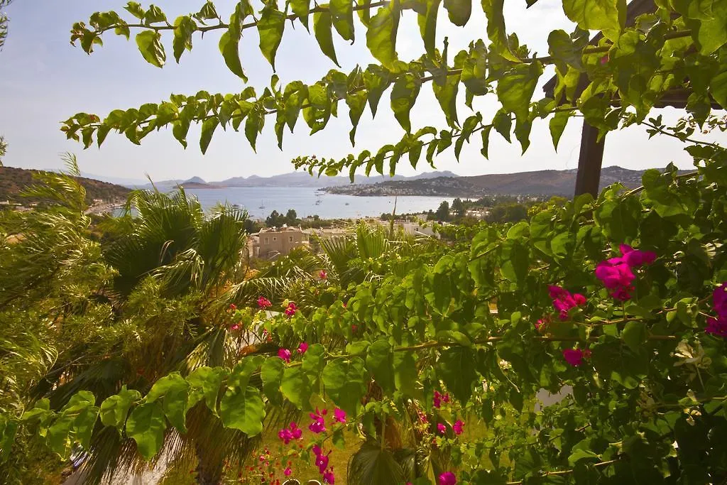 Sestra Suite Hotel Bitez